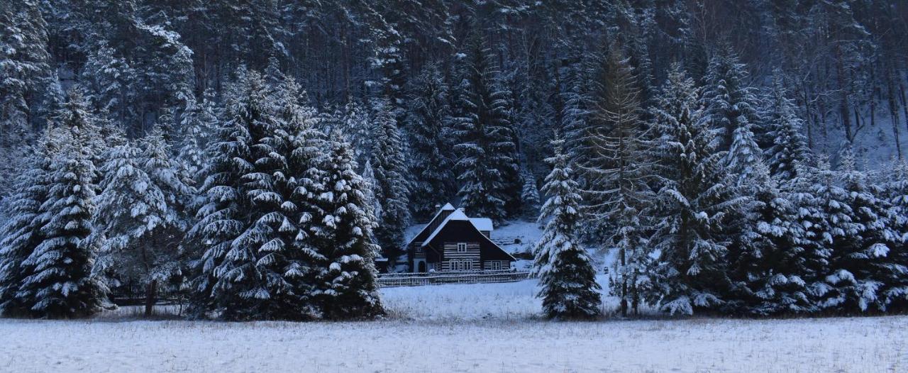 Hlucov Lesni Chalupa Kokorin Esterno foto